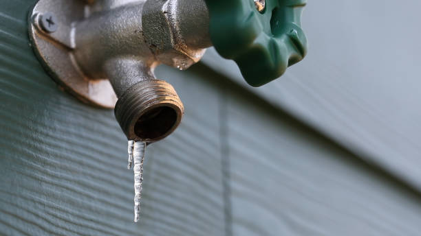Best Local Plumber Services  in Slocom, AL